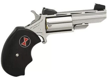 Mini Black Widow 22Mag 2"VR S AS