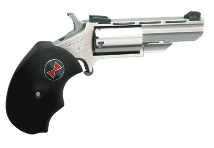 Mini Black Widow 22LR 2"VR S FS