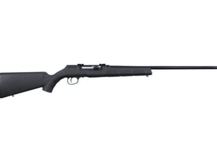 SAV A17 17HMR SA SYN 10RD BLUE