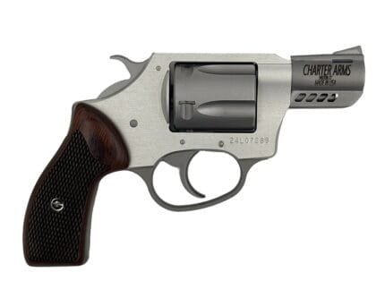 CHARTER ARMS COYOTE 380ACP SS 2" 5RD