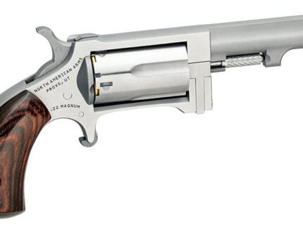 Mini-Rev Sidewinder 22Mag 2.5" S