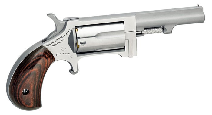 Mini-Rev Sidewinder 22Mag 2.5" S