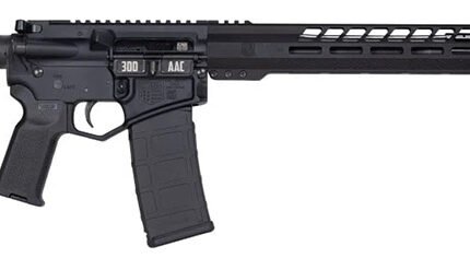 DB15 BlkGold 300Blk 16" Blk/Blk 15"M-Lok