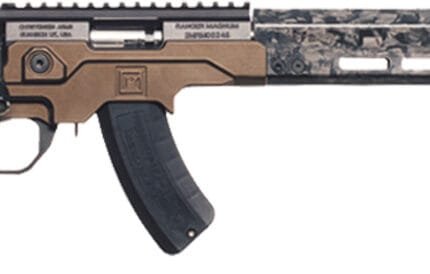 CHA MPR RIM BA 22LR 18B DB