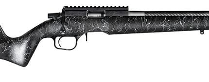 Ranger 22 RF 22LR 18" Carbon Blk/Gry 10r