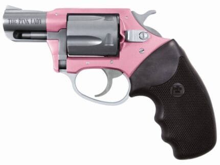 CHARTER ARMS PINK LADY 38SPC PINK/SS 2" 5RD