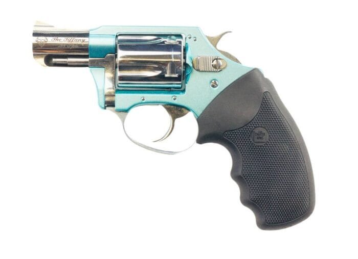 CHARTER ARMS BLUE DIAMOND 38SPC HIPOLISH 2"