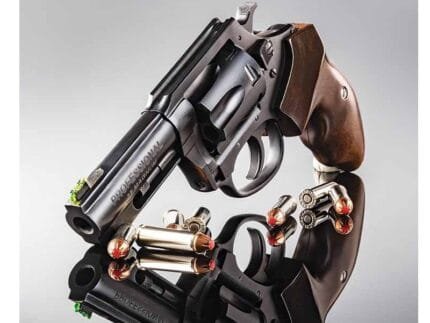 CHARTER ARMS THE PROFESSIONAL 32H&R MAG 3"