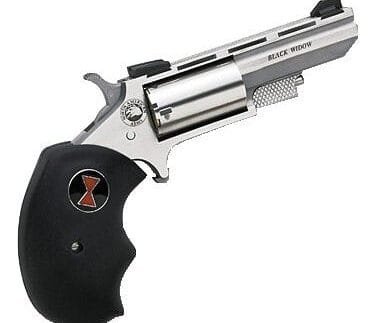 NORTH AMERICAN ARMS 22M/22L CON 2" BLK WIDOW SS FS