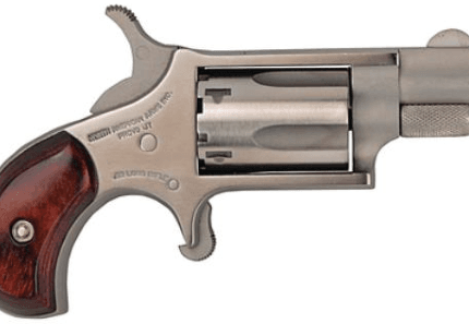 NORTH AMERICAN ARMS MINI 22LR REV 1-1/8" SS