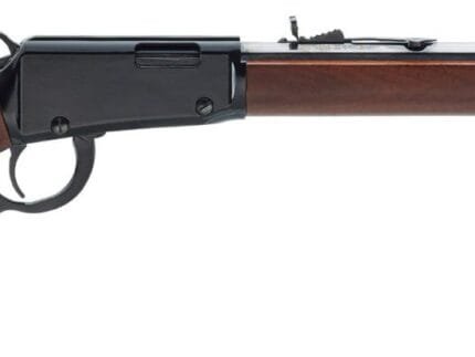 HENRY REPEATING ARMS LEVER ACT 22LR 20" OCTAGON BBL