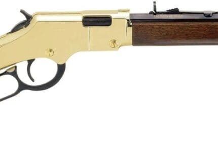 HENRY REPEATING ARMS GOLDENBOY 22LR BL/WD CMPT