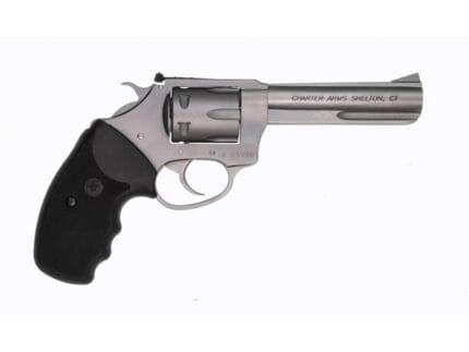 Charter Arms Target Pathfinder .22 LR 6rd Capacity 4.2" Barrel Stainless