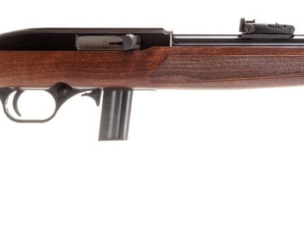 ROSSI RS22 22LR BLK/WD 18" 10+1