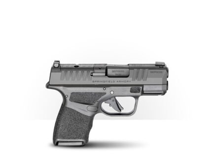 Hellcat 3" MicroCompact 9MM OSP 2/10rd CA