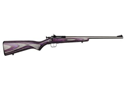 KEYSTONE SPORTING ARMS CRICKETT 22LR SS/PURPLE LAM