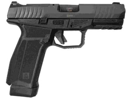 Arex Delta Gen 2 X OR Handgun 9mm Luger 17(1)&19(1)rd Magazines 4" Barrel Black