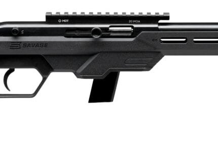 SAVAGE ARMS 64 PRECISION 22LR BL/BK 10+1