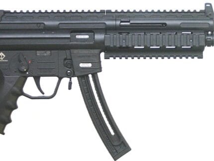 GSG-16P Pistol HGA 22LR 9.12" Syn/Blk 22rd