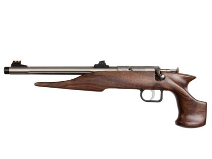 Chipmunk 22 Pistol Walnut/SS 10.5" 1shot