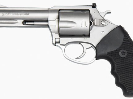 Char Pit Bull 40SW 4.2" SS/Adj Sghts 5rd
