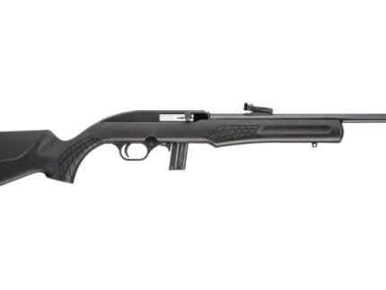 ROSSI RS22 22LR BLK/SYN 18" 10+1 TB#