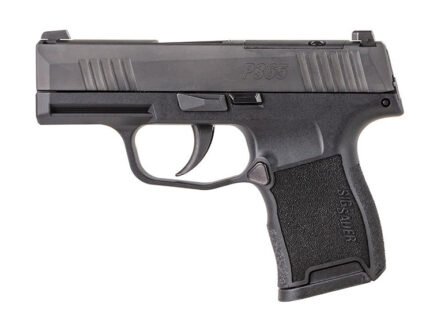 P365 Nitron 380AUTO 3.1" Blk NS MS 10rd