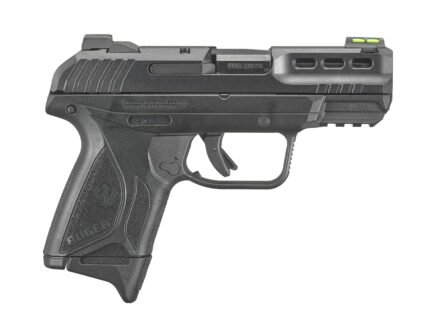 RUGER SECURITY-380 380ACP BLK 10+1