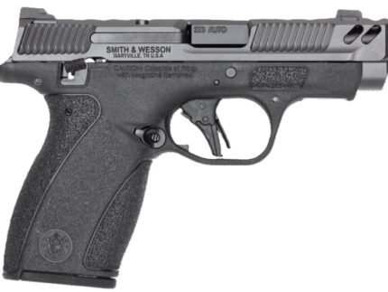 PC Bodyguard2.0 380 3.1" TS Gry/ Blk (2) 10-rd