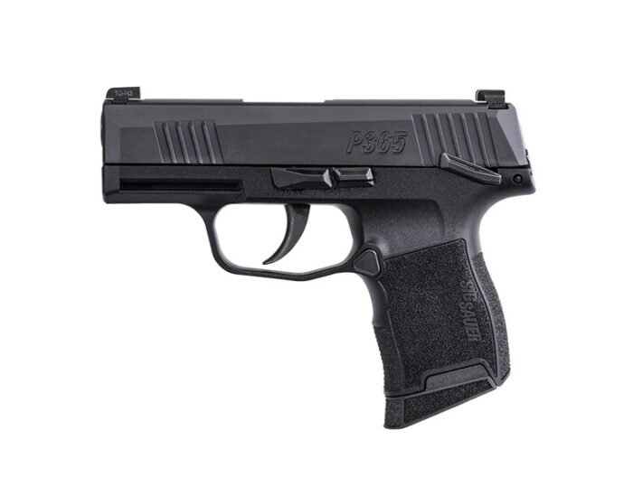 P365 380 ACP 3.1" Blk MS (2) 10-rd *MA