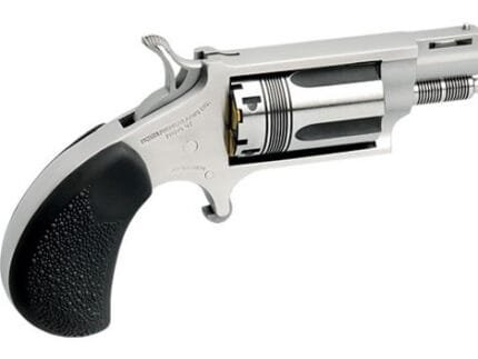 NORTH AMERICAN ARMS THE WASP 22MAG REV 1-1/8" SS