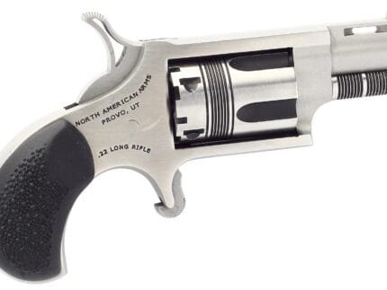 NORTH AMERICAN ARMS THE WASP 22LR REV 1-1/8" SS