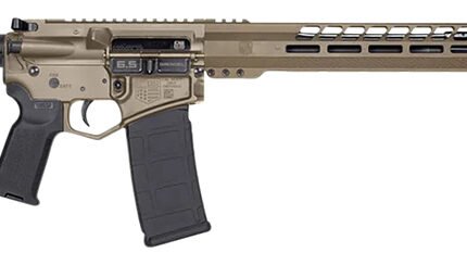 DB15 BlkGold 6.5Gr 18" MLOK FDE/Blk  5&28rd