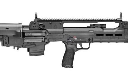Hellion 5.56 NATO 16" Blk 2/10rd GEARUP