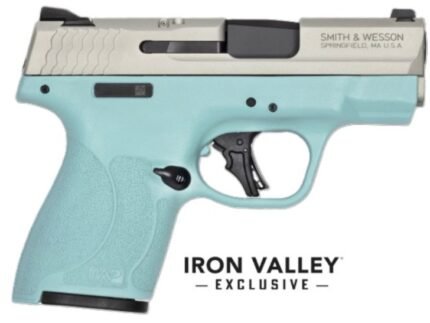 M&P9 Shield Plus 9mm 3.1" SS/Robin Egg 2/10rd