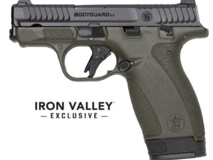 M&P Bodyguard 2.0 380ACP 2.75" TS ODG 1/10 /1/12