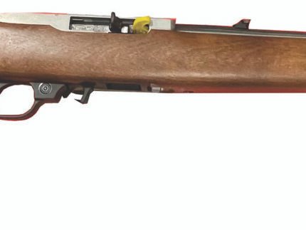 10/22 22LR  18.5" SS/Stained Beech 10rd