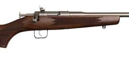 Chipmunk Dlx Youth 22 LR 16.1"  Walnut/SS 1rd