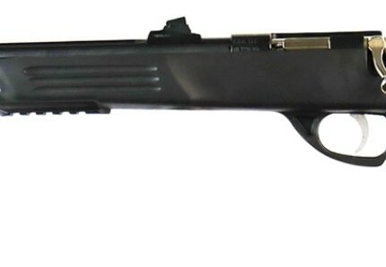 Crickett Adult Pstl 22LR 10.5" TB Blk/Blued 1rd