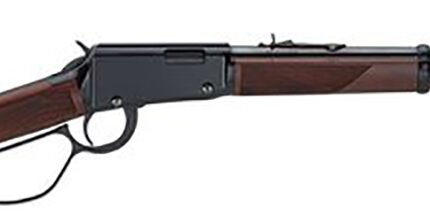 Mare's Leg 22Mag 12.9" B AS 8rd