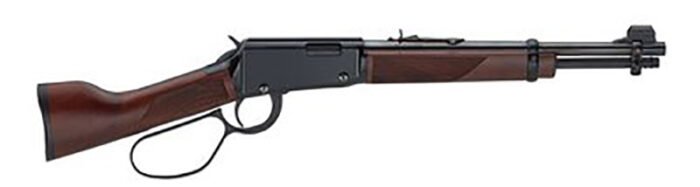 Mare's Leg 22Mag 12.9" B AS 8rd