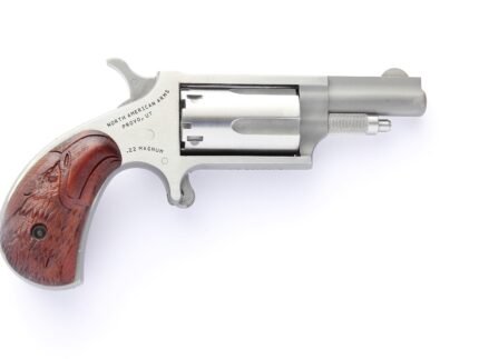 NORTH AMERICAN ARMS MINI 22LR/22M 1-5/8" EAGLE GRP
