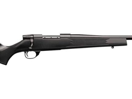 WEATHERBY VANGUARD S2 YOUTH 223REM SYN