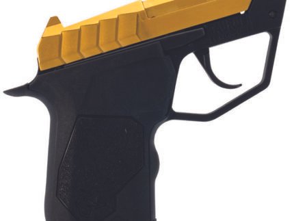 22 TUC .22LR 2.5" Fixed Gold/Blk 9-rd