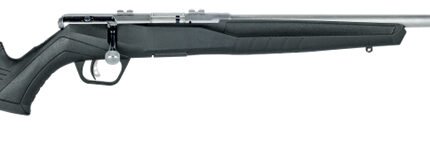 B17FVSS 17HMR 21" 10rd