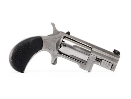 NAA Sentinel Handgun .22 Mag 5rd Capacity 1.43" Barrel Silver with Black Grip